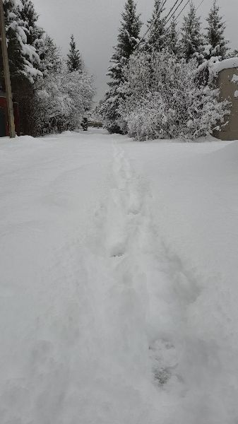 20250408_065946.jpg
