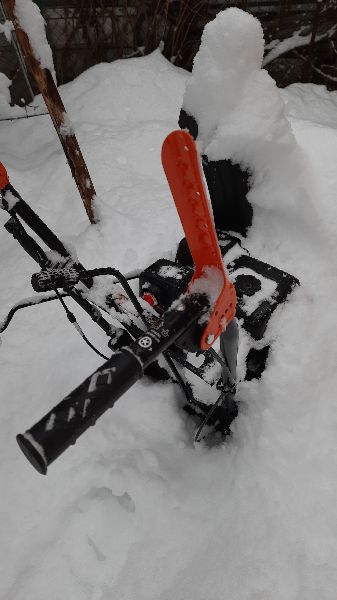 20250408_070133.jpg