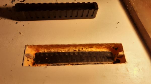 20250504_093411.jpg