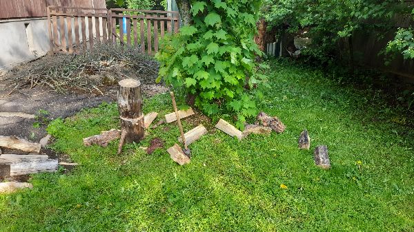 20260524_173152.jpg